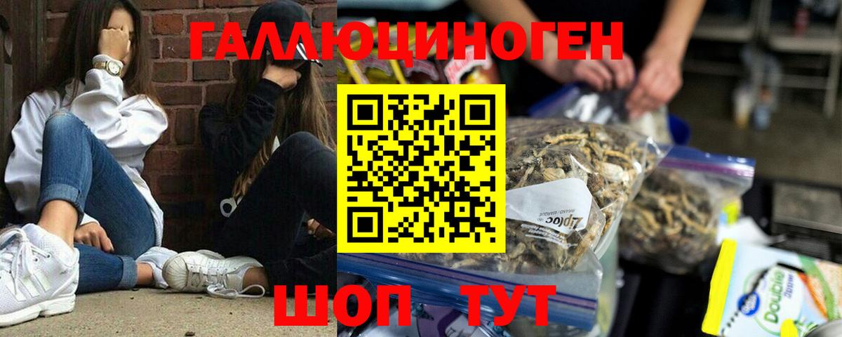 Галлюциногенные грибы Cubensis  Вход с VPN  хочу   Медногорск 